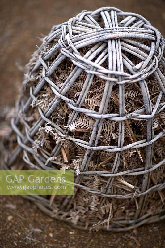 Frost protection device - Wicker basket filled with mulch of dead bracken placed over tender plant to protect against frost.