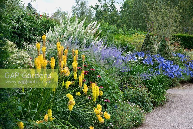 Kniphofia, Agapanthus, Echinacea and Perovskia 'Blue Spire' in The Long Borders at RHS Rosemoor, Devon