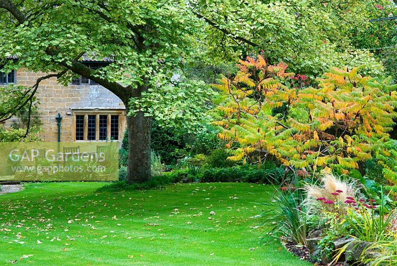 Rhus typhina, Sedum and Stipa tenuissima - East Lambrook Manor Gardens, Somerset