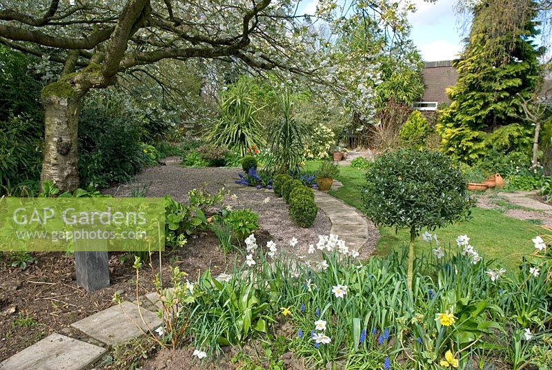 Secluded back garden with Spring borders, gravelled area, concrete slab path and lawn - Long Acre, NGS garden, Bunbury, Cheshire 
