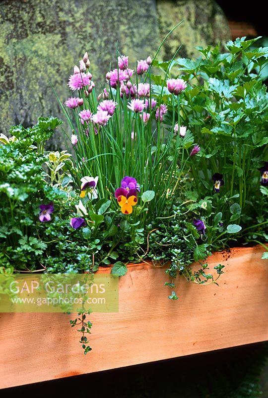 Wooden window box with edible plants including pansies, chives, sage and parsley