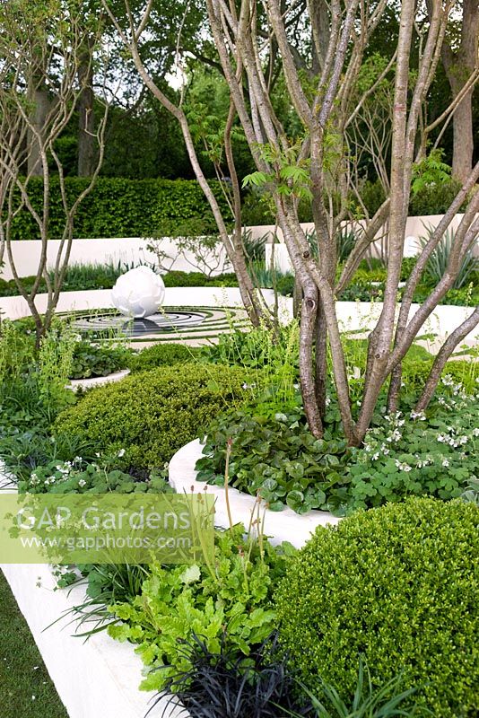 Orb limestone sculpture by Simon Thomas in water feature pool. Carpinus betulus hedge to the rear. Raised bed white walls & white paving. Rhus typhina shrub stems, Ilex crenata, Saxifragia x urbium, Ophiopogon japonicus var., Geranium renardii, Asarum europium, Liriope muscari.The Cancer Research UK Garden, sponsored by Cancer Research - Silver-Gilt Flora medal winner at RHS Chelsea Flower Show 2009