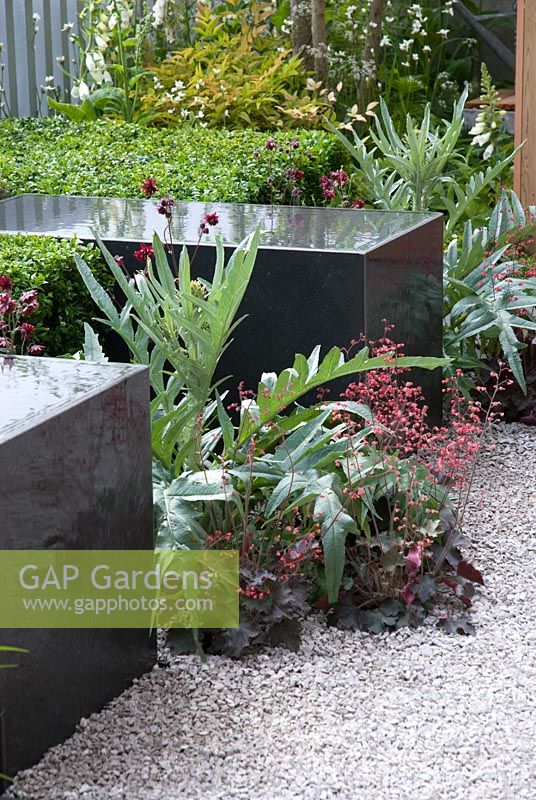 Water feature with planting of Cynara cardunculus and Heuchera in gravel - The Children's Society Garden - Gold medal winner for Urban Garden at RHS Chelsea Flower Show 2009