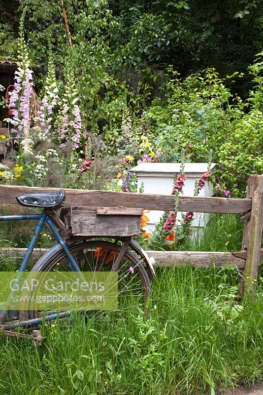 Old bicycle by fence with beehive and cottage garden flowers - The Fenland Alchemist Garden, sponsored by Giles Landscapes - Gold medal winner for Best Courtyard Garden at RHS Chelsea Flower Show 2009 