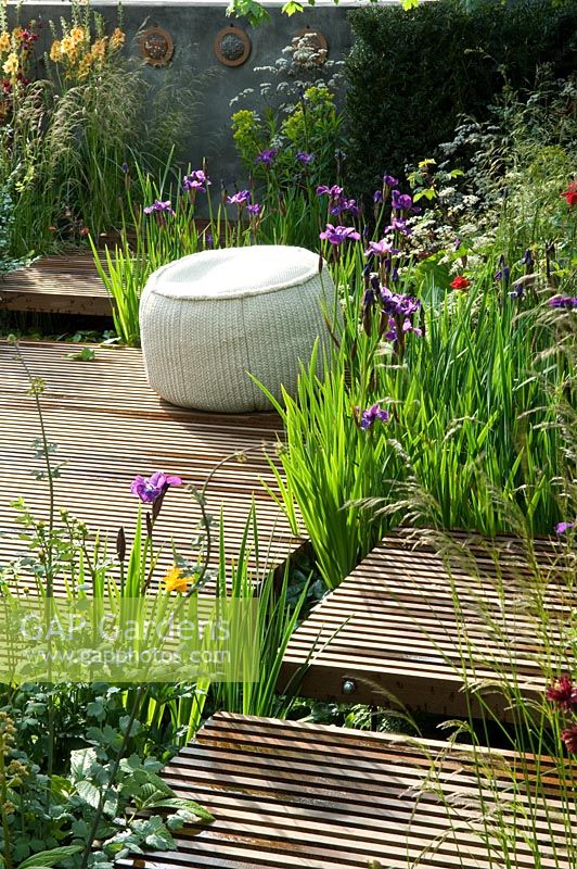 Naturalistic planting to attract a diverse range of insects surround a timber seating area and seat, planting includes Iris germanica, Aquilegia 'Ruby Port' and Cirsium rivulare - Nature Ascending Garden - Gold medal winner for Urban Garden at RHS Chelsea Flower Show 2009 
 
