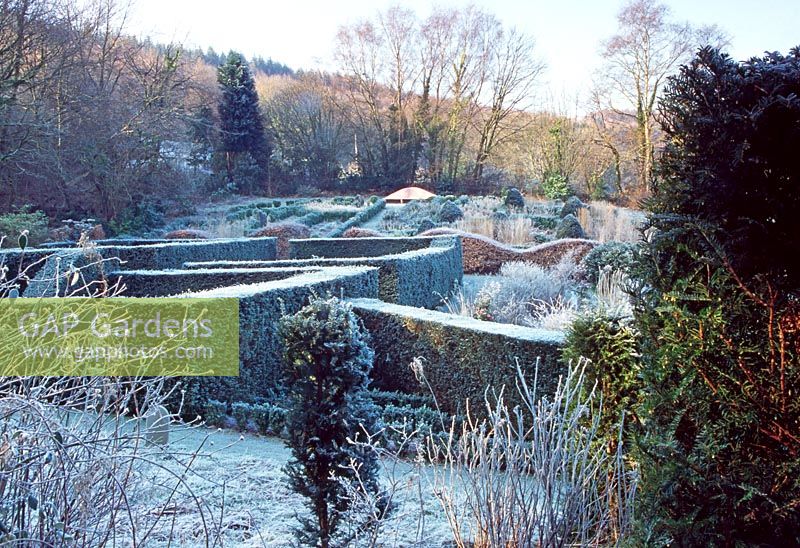 View across Yew Gardens to the Grasses Parterre from the Wild Garden - Veddw House Garden, February 