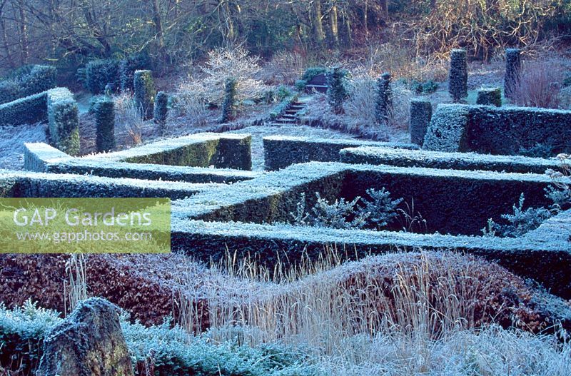 View over the Yew Garden to the Wild Garden and wood from the Grasses Parterre, Beech hedge in foreground - Veddw House Gardens, February 