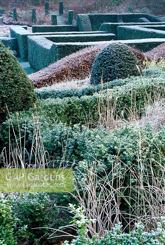 Part of the Grasses Parterre with Yew cone and box hedge - Veddw House Garden, February 