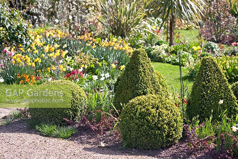 Clipped topiary at Coopers Millenium Garden, Lichfield