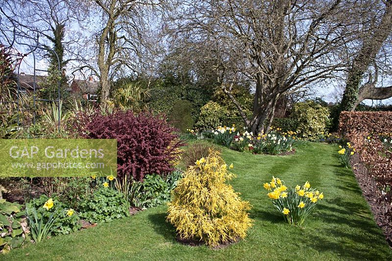 Mixed Spring borders at Coopers Millenium Garden, Lichfield