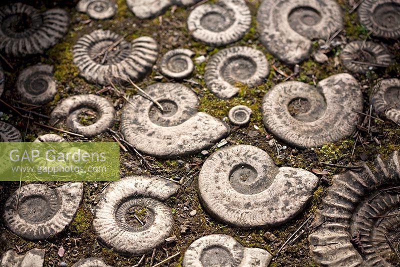 Fossil path at Coopers Millenium Garden, Lichfield