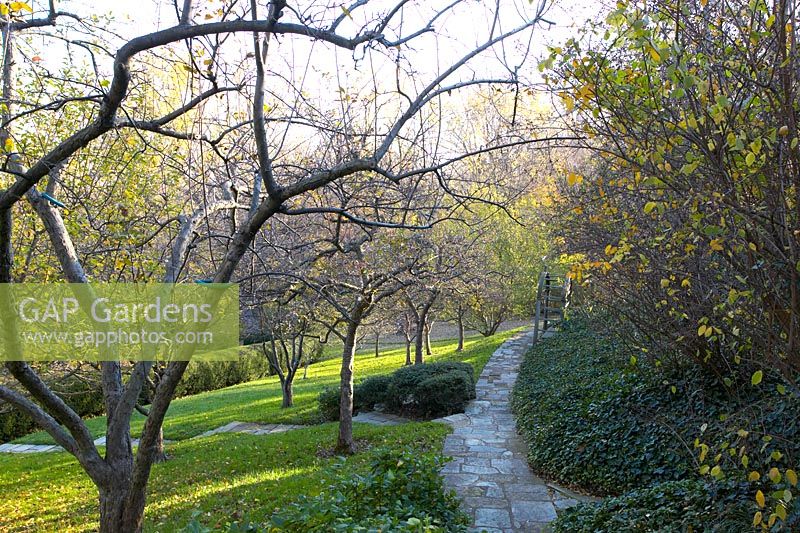 The Orchard, Dumbarton Oaks, Washington DC