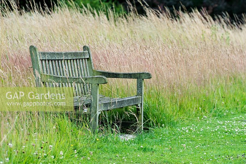 Garden bench on the lawn grass border at Waterperry Gardens, Oxfordshire, England