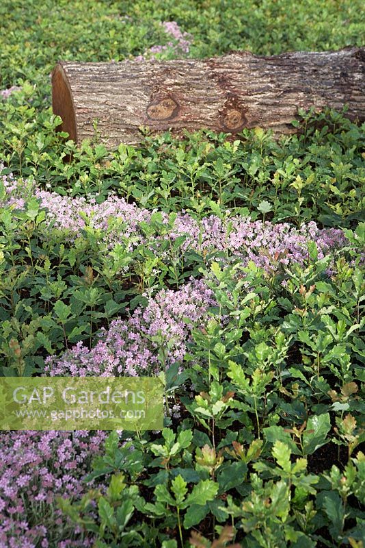 'The Quilted Velvet Garden' Sponsor - Quilted Velvet. Contractor - Hortus infinitus - RHS Hampton Court Flower Show 2009