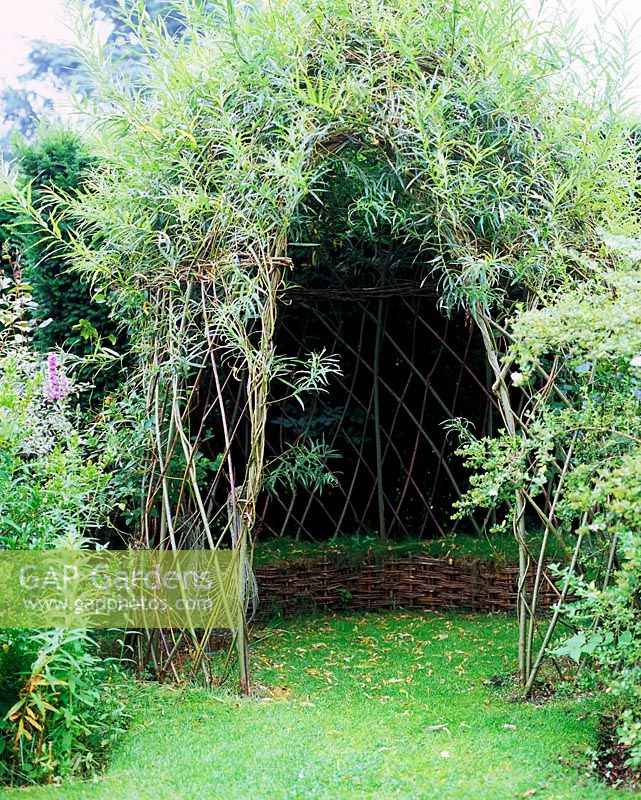 Living willow arbour with grass seat in summer