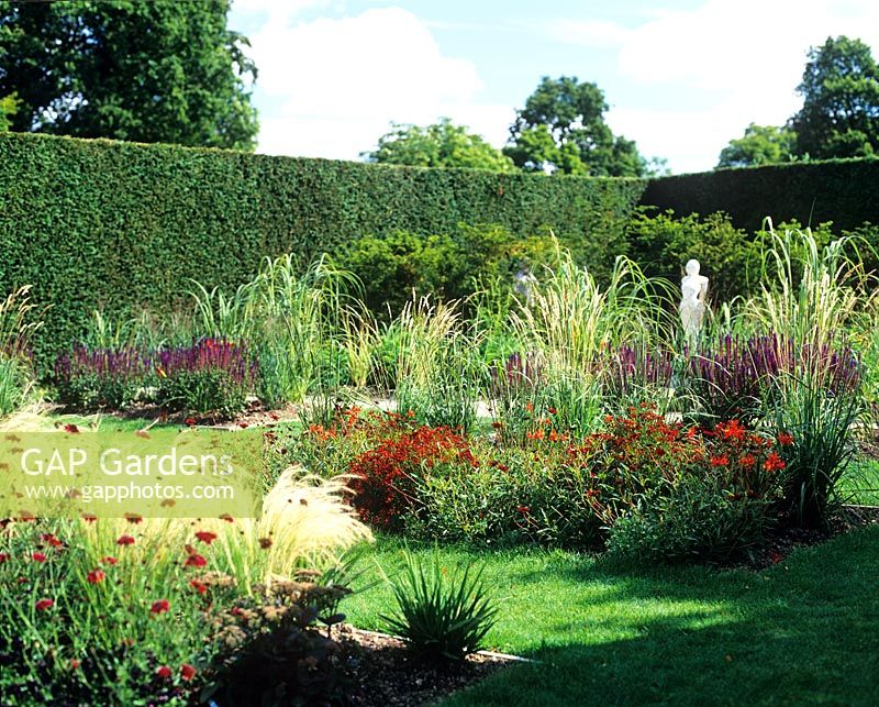Garden of grasses and perennials, surrounded by hedge in August - NGS Merriments Garden, Sussex