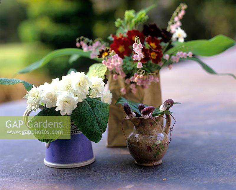 Trio of containers with cut spring flowers, Primula, lily-of-the-valley and mouse plant - Charlotte Molesworth's garden, Kent