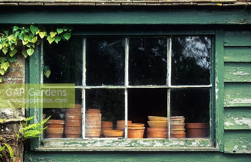 Vintage terracotta flower pots on bench of rustic potting shed. Peeling old paint on weather boarding - Cerne Abbas, Dorset