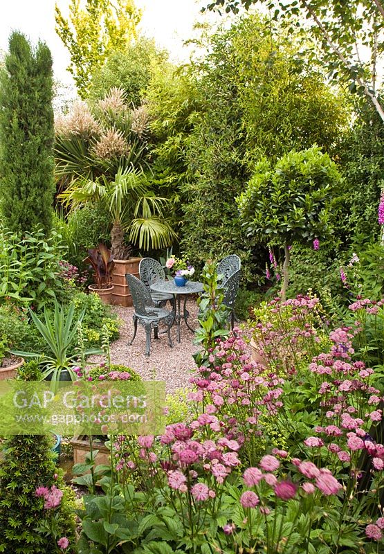 Patio area with Cordyline Australis and Astrantia 'Ruby Wedding' in flower around seating area and patio in secluded suburban garden with co-ordinated design features and colour themed borders - High Trees, NGS, Longton, Stoke-on-Trent, Staffordshire