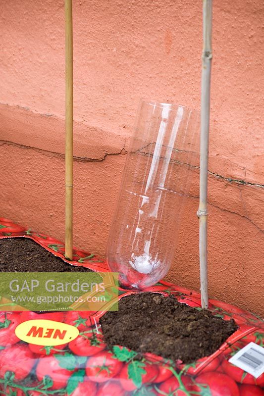 Step by step of planting tomatoes in a growing bag - Water reservoir positioned in growing bag