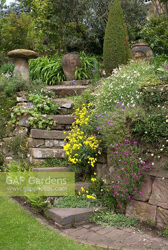 Stone steps leading to gravel path, stone mushroom and urns amongst sheltered terraced borders with plants including Aubretia, Alyssum saxatile, Geranium and ferns growing in the walls and crevices - Bank House, NGS garden, Cheshire