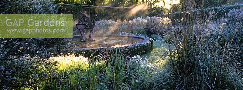 Mist rising from a pond surrounded by planting of shrubs, grasses and perennials including Ceanothus, Miscanthus, Pennisetum, Phormium and Ampelodesmos mauritanica in frost at Knoll Gardens, Dorset. November