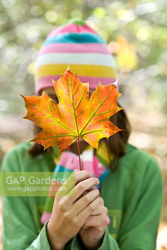 Young girl holding an Acer - Maple leaf in front of her face