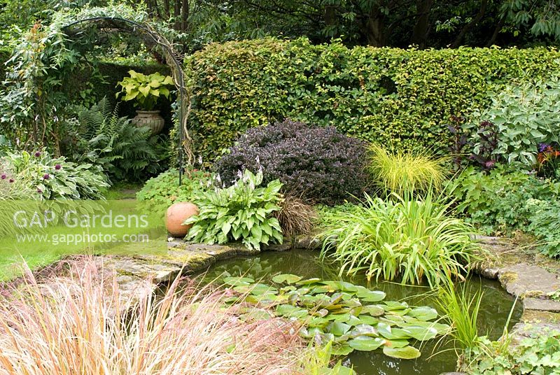 Stone edged garden pond with Iris and Nymphaea backed by Fagus hedge and mixed border of Hosta crispula, Berberis thunbergii, Carex elata 'Aurea', Cornus alba 'Spaethii', with Stipa arundinacea in foreground and Lonicera covering archway leading to shaded area with Hosta 'Sun Power' in urn at Southlands, NGS garden, Lancashire