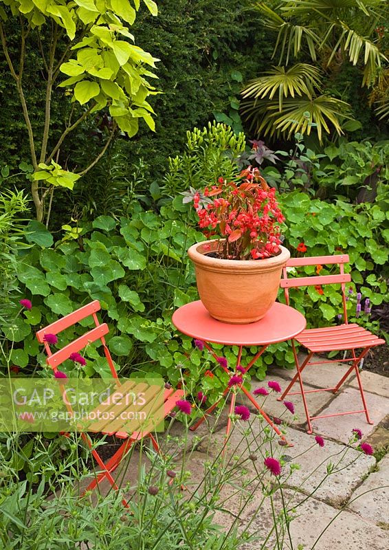 Orange table and chairs with colour co-ordinated plant pot back drop of mature hedge and borders at Wilkins Pleck,NGS, Whitmore near Newcastle-under-Lyme in North Staffordshire
