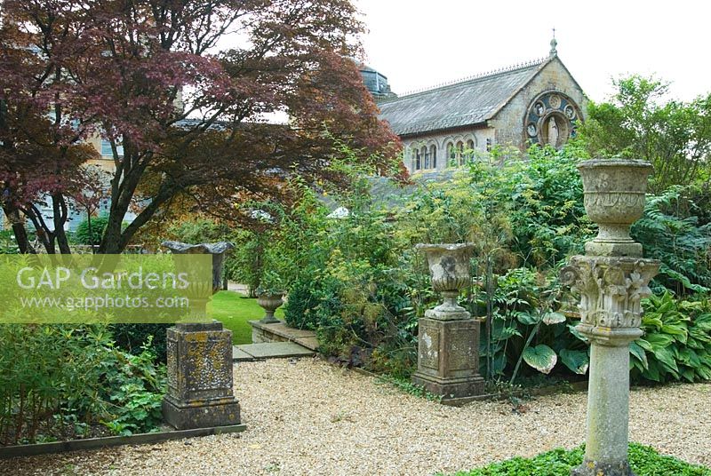 Acer japonicum spreads over garden full of architectural fragments, backed by Romanesque chapel. Private garden, Dorset, UK