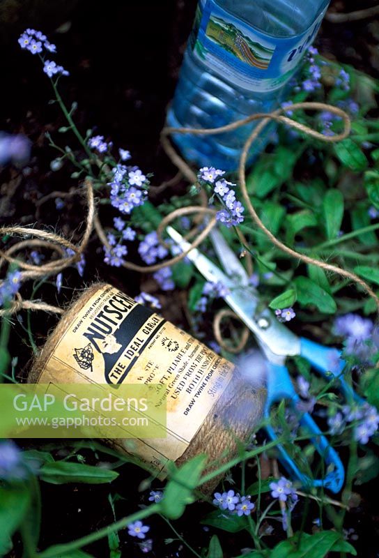 Garden twine, blue scissors and forget-me-nots