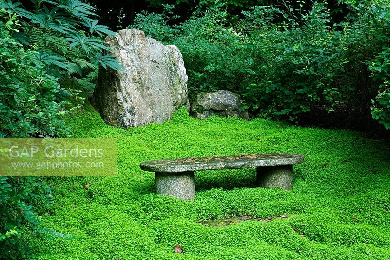 Pine Lodge Gardens - St Austell - Cornwall - Stone seat with Soleirolia soleirolii as ground cover in the Japanese garden