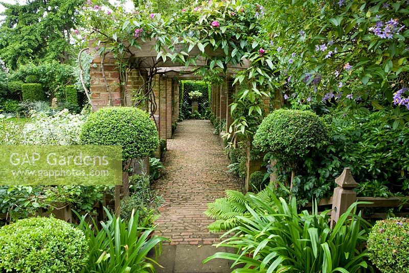 The pergola with brick path and euphobia in urn as focal point