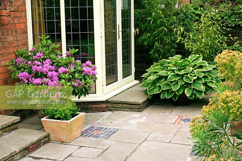 Marijke's garden. Bold specimen plants in containers including Rhododendron 'Goldflimmer' and Hosta fortunei 'Aureomarginata' soften the paving around the house