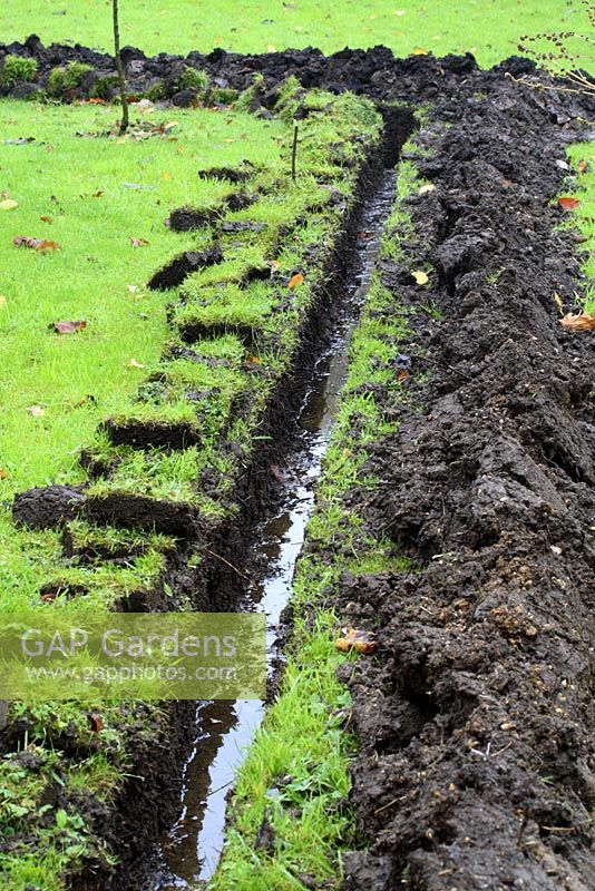 Drainage solution for lawn prone to flooding - Trenches dug ready for drainpipes.