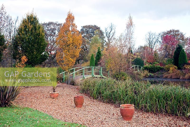 Picturesque aboretum, lakeside containers and twin Monet style bridges, autumn colour from trees and shrubs at Wilkins Pleck (NGS) Whitmore near Newcastle-under-Lyme in North Staffordshire