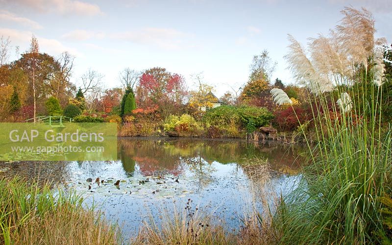 Picturesque aboretum large pond and Monet bridge and Summer House autumn colour from trees and shrubs at Wilkins Pleck (NGS) Whitmore near Newcastle-under-Lyme in North Staffordshire