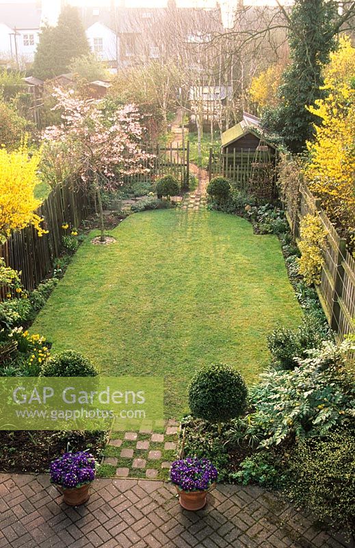 Long narrow town garden divided into sections. Formal design with lawn and box topiary nearest house leading to small woodland garden with group of birch trees and small shed. March