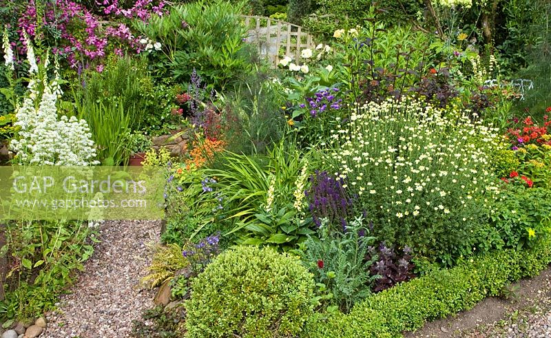 A cottage garden with borders of mixed herbaceous perennials at Coley Cottage, NGS, Little Haywood, Staffordshire 