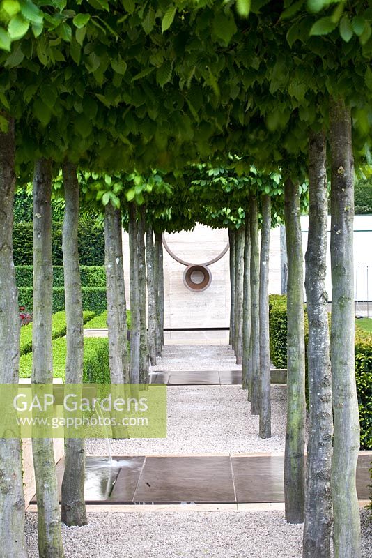 Avenue of Fagus sylvatica, leading to a focal point of a sculpture - The Laurent-Perrier Garden, Sponsored by Champagne Laurent-Perrier - Gold medal winner at RHS Chelsea Flower Show 2009 
