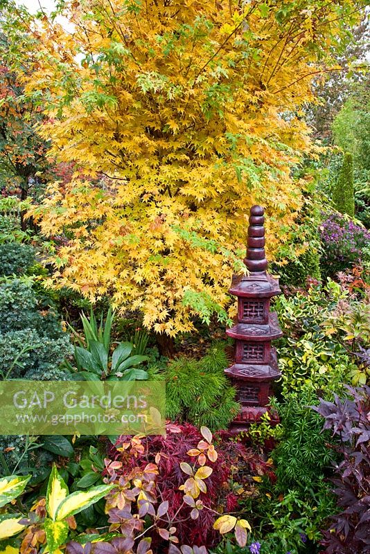 Tiered lantern in Japanese style garden in autumn with Acers and many deciduous trees, shrubs and conifers grown for their foliage, some showing stunning autumnal tints and hues - Four Seasons Garden NGS, Walsall, Staffordshire 
