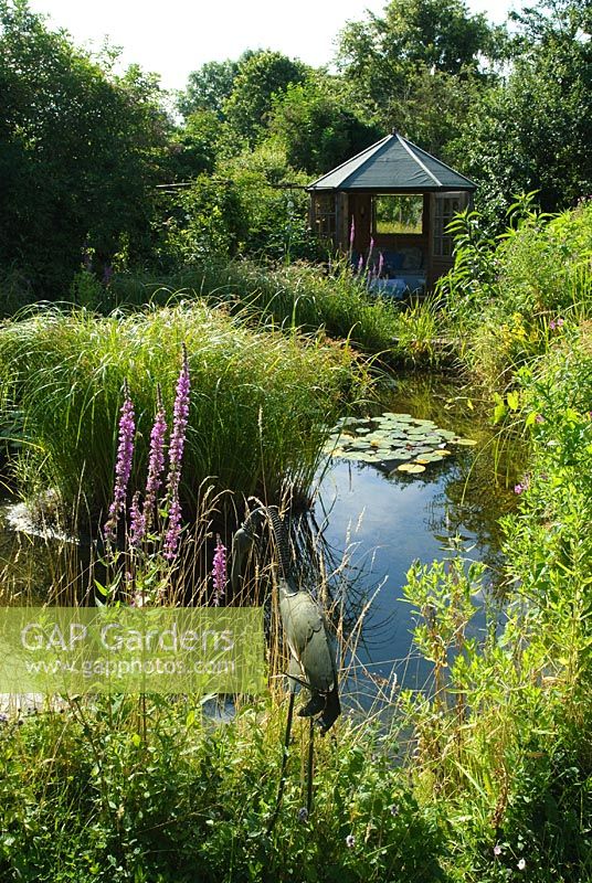 Summerhouse overlooking wildlife pond- Wild Rose Cottage, Lode, Cambridge