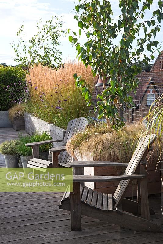 Adirondack chairs with large wooden containers planted with Betula utilis var. jacquemontii,underplanted with Carex 'Frosty Curls' and Erigeron karvinskianus, Miscanthus sinensis 'Gracillimus', Calamagrostis x acutiflora 'Karl Foerster'. Pots of herbs with old watering can.