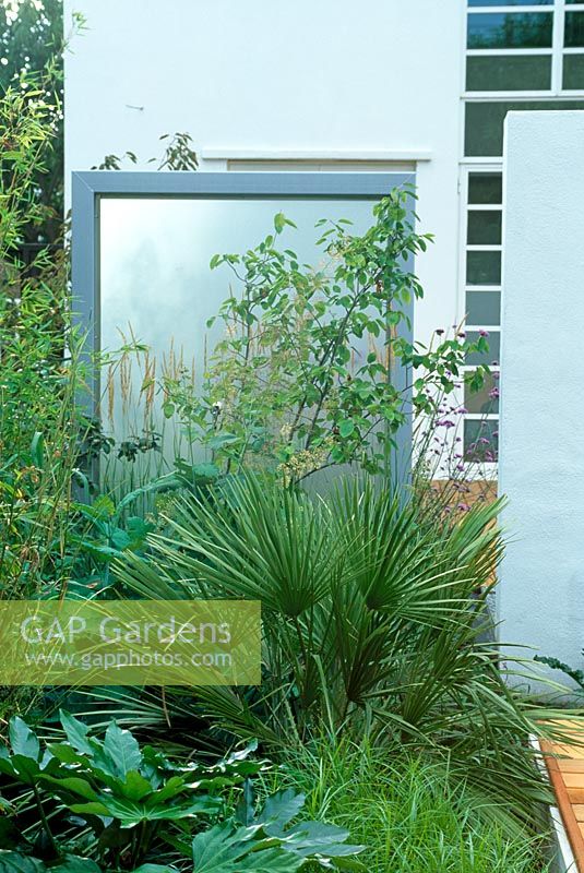Frosted glass and wall partitions, planting includes Trachycarpus fortunei, Carex, Amelanchier and Fatsia. Barnes - London