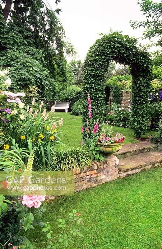 Hornbeam arch and steps between small upper and lower lawn. Irises, Foxgloves, Roses and Verbascum - New Square, Cambridge 