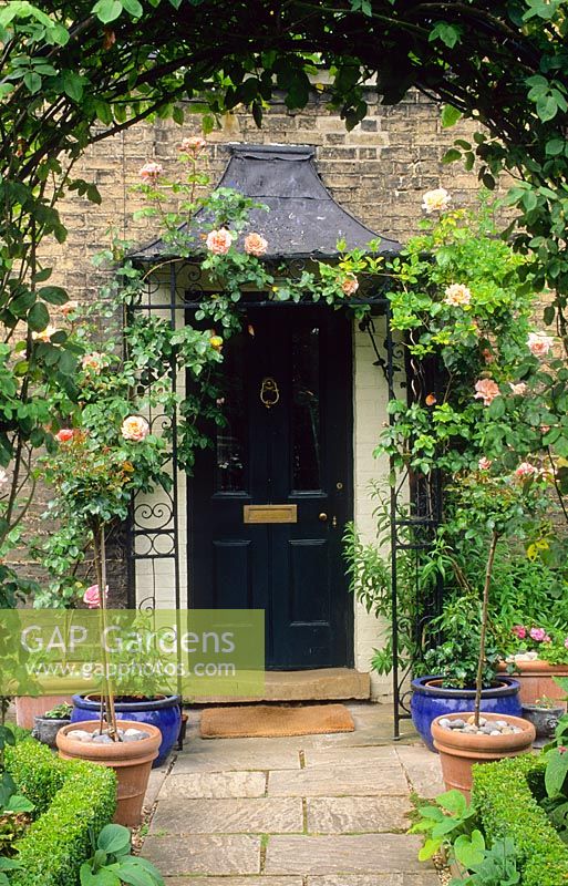 Front door with wrought iron porch and climbing Roses - New Square, Cambridge