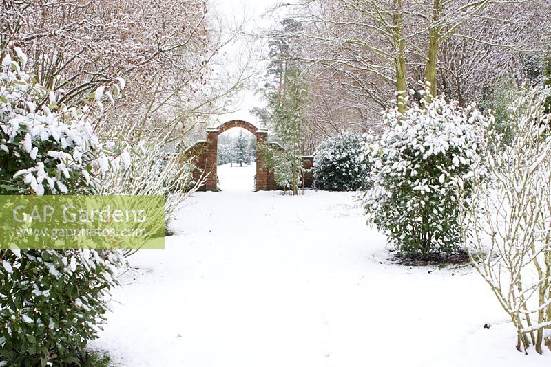 Snow covered path with Photinia x fraseri 'Red Robin' leading through the brick archway at Honeybrook House Cottage, Worcestershire