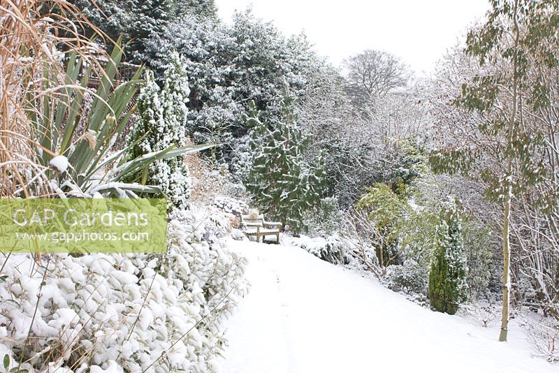 The prairie garden with snow at Honeybrook House Cottage, Worcestershire