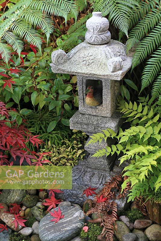 Carved granite Japanese lantern imported from China as a centrepiece to a tiny Japanese garden with pebbles, patterned boulders and sculptural planting including Cyrtomium falcatum -  Holly fern, Vinca 'Illumination' and  Acer palmatum 'Atropurpureum' - Japanese maple.