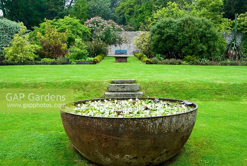 Metal 'kettles' used to smelt tin, now contain Aponogeton distachyos, Cape Pondweed or Water Hawthorn, in the Walled Garden. Trewidden, Buryas Bridge, Penzance, Cornwall, UK